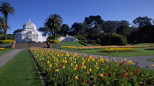 San Francisco golden gate park